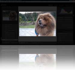 Lightroom - Iluminaci�n media