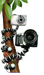 gorillapod