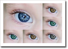 color ojos