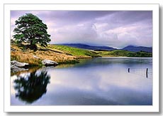 Fotograf�a de Paisajes