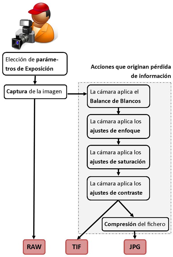 graficoComparacionRAWvsJPG-TIF.jpg