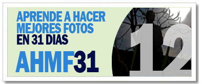 AHMF31 [d�a12]