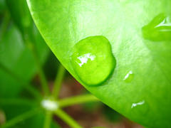 Foto de .steve.T