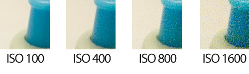 Sensibilidad ISO 100 a 1600 - Detalle 2