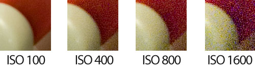Sensibilidad ISO 100 a 1600 - Detalle 3