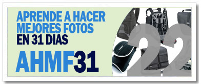 AHMF31 [d�a22]