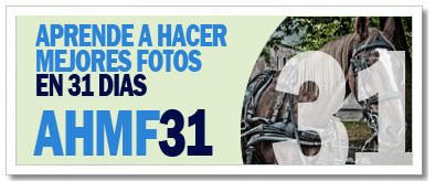 AHMF31 [d�a31]