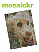 mosaickr