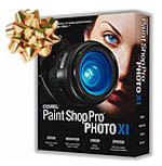 paint shop pro